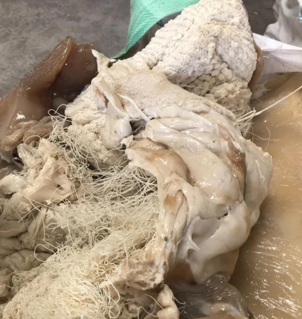 ABS (Acrylonitrile Butadiene Styrene)